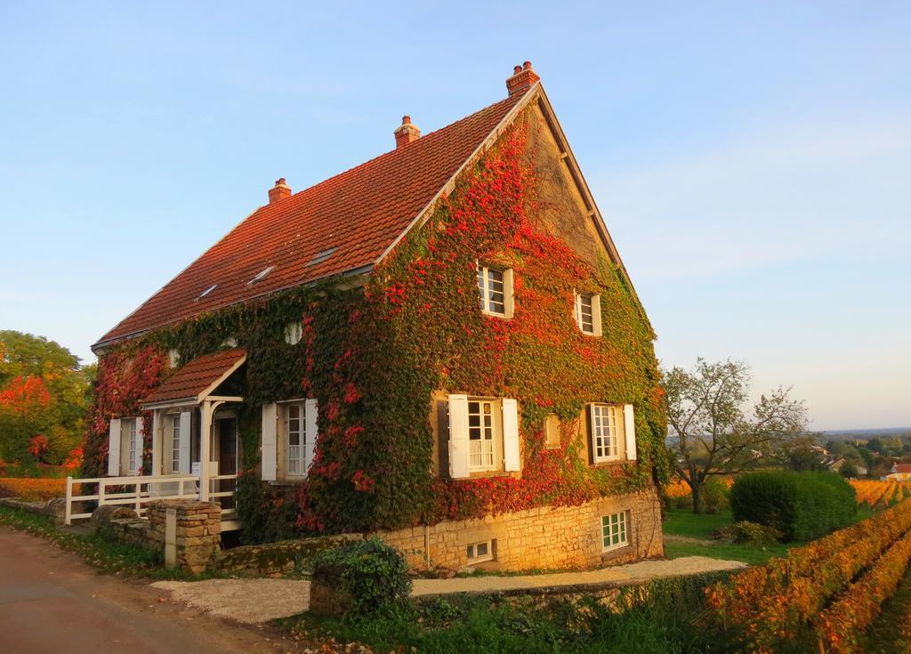 La Passerelle Des Corton B&B Aloxe-Corton Exterior foto