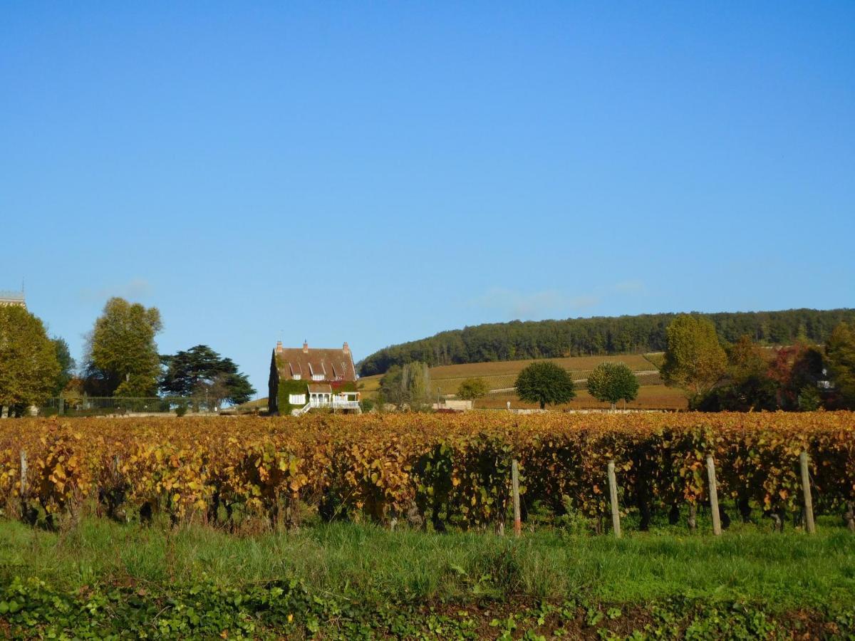 La Passerelle Des Corton B&B Aloxe-Corton Exterior foto